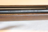 Model 77 Winchester semi-auto 22LR Tubular magazine - 13 of 14