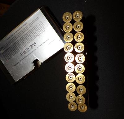Dakota Brass Casings .375 - Image 2 of 3