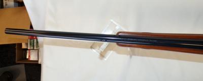 RUGER 77 HAWKEYE 22-250 - Image 13 of 16