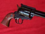 Ruger Blackhawk Revolver .45 with Custom Case - 15 of 18