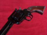 Ruger Blackhawk Revolver .45 with Custom Case - 14 of 18