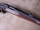 BSA Mannlicher Stutzen Full Stock .243 Winchester Bolt Action Rifle - 7 of 20