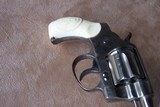 Colt Nickel New Pocket with Monogram Carved Ivory Grips in Colt Case - 18 of 20