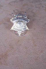Colt Army Special .38 Special with a 5” Barrel and Factory Carved Steer Head Ivory Grips, Owned by Sheriff in Wyoming County New York - 14 of 15