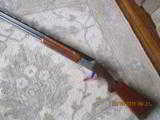WINCHESTER 101 PIGEON GRADE - 7 of 8
