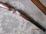 WINCHESTER 101 PIGEON GRADE - 8 of 8