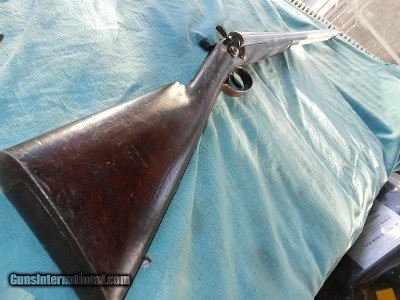Wesson Arms Rare Double Barrel Hammer Shotgun