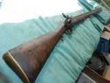 BritishEast India Company Percussion Musket