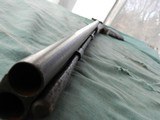 Wm. Read & Son Boston 12ga Hammer Shotgun - 11 of 14