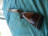 Colt Sauer Exceptional Grained Factory Stock - 4 of 23