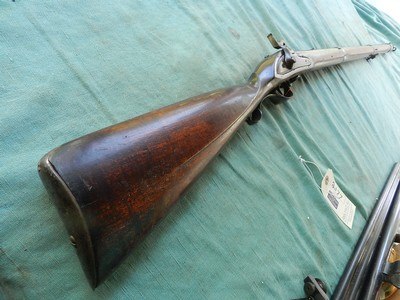 Young Man's
Percussion Musket