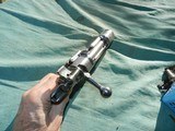 Mauser Argentina 1909 Action and bolt - 1 of 10