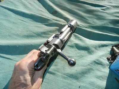 Mauser Argentina 1909 Action and bolt