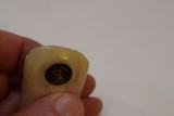 Colt 1908 .25 Cal Factory Pearl Grips with Deep Set Medalions - 4 of 13