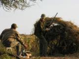 Dove Hunting in Province of Cordoba Argentina - 7 of 8