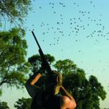 Help the Argentine Farmer…AND Get Paid to Hunt - 7 of 7