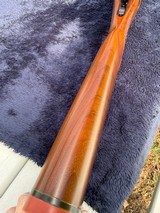 Ruger M77 458 Winchester Magnum - 12 of 15