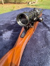 Ruger M77 458 Winchester Magnum - 11 of 15