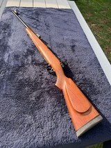 CZ 550 Safari Magnum 458 Lott - 1 of 10