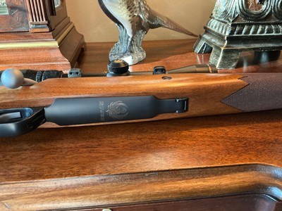 Ruger Hawkeye African in 375 Ruger - Image 7 of 10