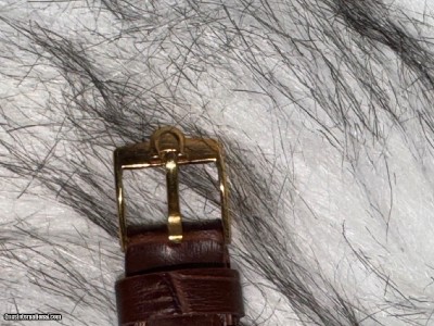 EVEN LOWER LOWER PRICE: 1950s Vintage Men’s Omega Seamaster Automatic - Image 8 of 10