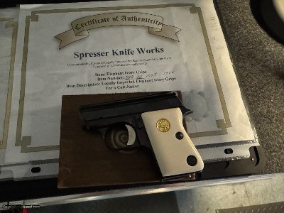 EVEN LOWER, LOWER PRICE. Scarce Colt Consecutively Number Pair .25 Semi Automatic Pistols Ivory Grips - Image 3 of 25