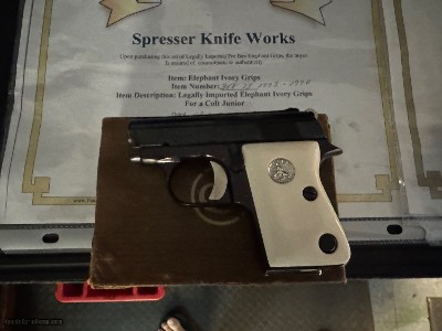 EVEN LOWER, LOWER PRICE. Scarce Colt Consecutively Number Pair .25 Semi Automatic Pistols Ivory Grips - Image 4 of 25