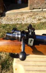 M43 Mauser sporterized heavy stainless barrel in 6.5 x 55 - 7 of 7