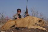 Lioness Package - Kalahari Region - 1 of 3