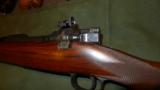 Thomas Shelhamer 1903 Sporting Rifle - 13 of 15