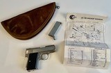 AMT Backup in .380 ACP Auto-Two Magazines, brochure and Free Shipping! - 1 of 10