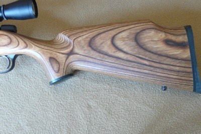 Remington model 504 17 HMR cal. (mint)