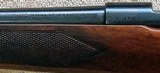 Winchester Model 52B Sporter - 10 of 22