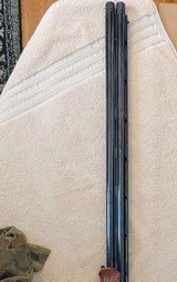 Caesar Guerini Magnus Sporting
20 Ga. w/32 in. Barrels - 12 of 23