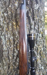 Winchester M70 .300 win Mag - 1 of 8