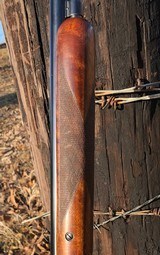 Winchester 61 routledge deluxe - 7 of 15