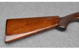 Winchester 101, 20 Gauge - 2 of 9
