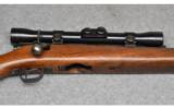 Winchester 43, .22 Hornet - 3 of 9