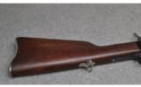 Remington Modello Argentino 1879 E.N. 11.53x58R - 2 of 10