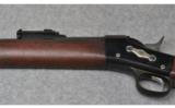 Remington Modello Argentino 1879 E.N. 11.53x58R - 7 of 10