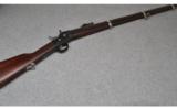 Remington Modello Argentino 1879 E.N. 11.53x58R - 1 of 10