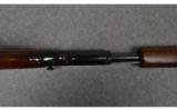 Winchester 61, .22 WMR - 5 of 9