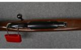 Ruger M77, .25-06 Remington - 5 of 9