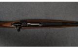 Ruger Magnum .416 Rigby - 9 of 9