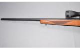 Ruger 77/17, 17 HMR - 4 of 6