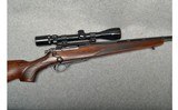 Remington ~ 600 ~ 6mm Remington - 1 of 9