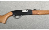 Winchester Model 190 - 3 of 3