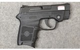 Smith & Wesson ~ Bodyguard .380 ~ .380 ACP - 1 of 3