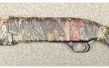 Browning ~ Gold Light ~ 10 Gauge - 8 of 10