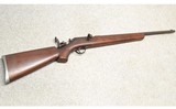 Springfield ~ No Model ~ .22 Long Rifle - 1 of 10